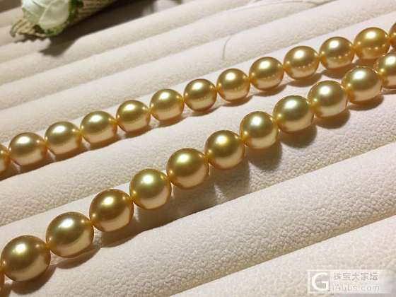 算浓金吗？_项链珍珠