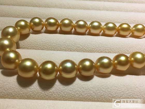 算浓金吗？_项链珍珠
