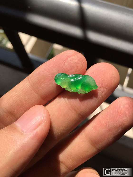 我有一只兔子_翡翠