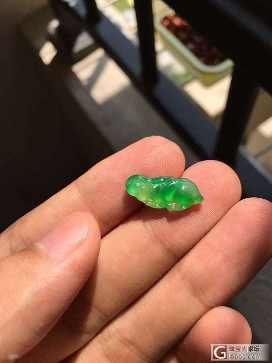 我有一只兔子_翡翠