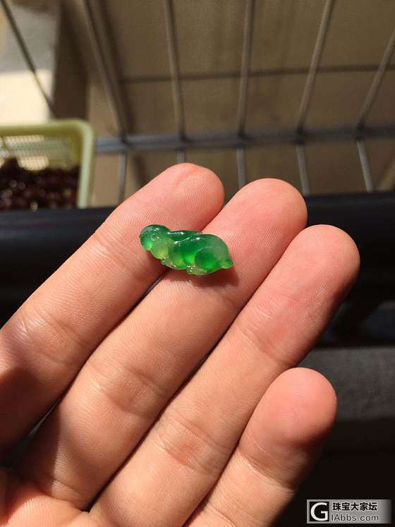 我有一只兔子_翡翠