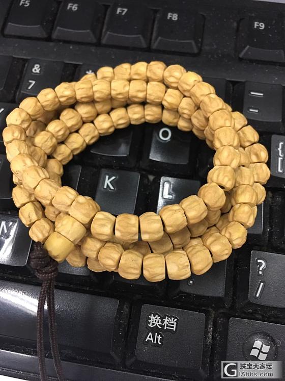 看看百香籽三个月的变化_珠串菩提子