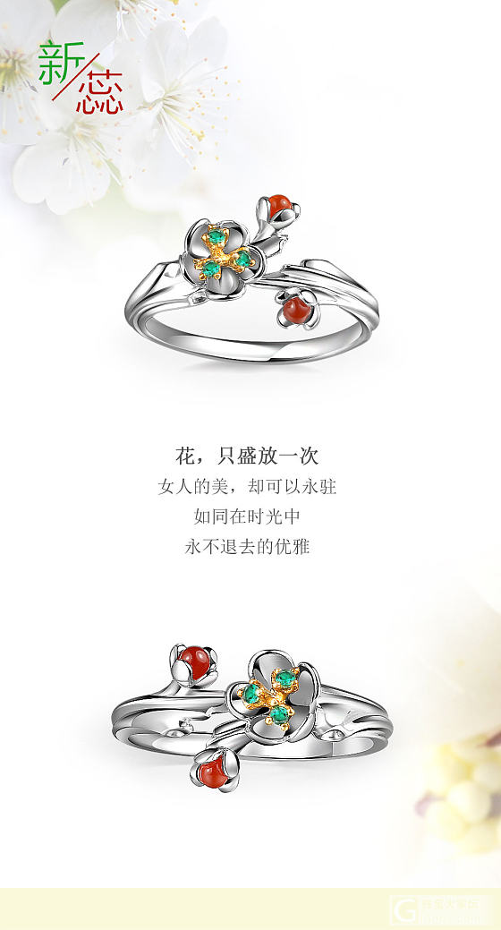 18K新蕊戒指，18K钻石镶嵌戒指_戒指