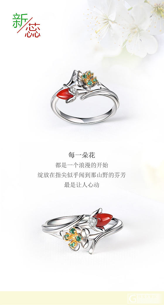 18K新蕊戒指，18K钻石戒指_戒指
