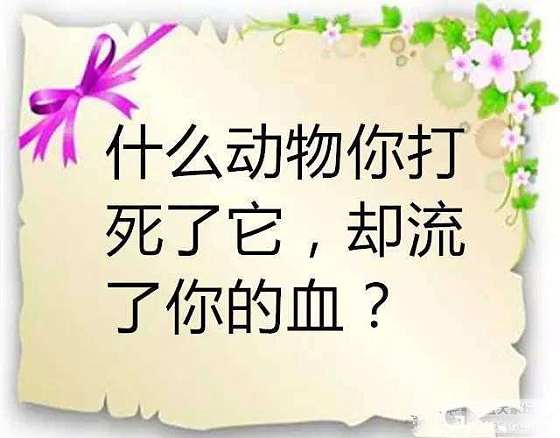 脑洞大开，看谁智商比较高