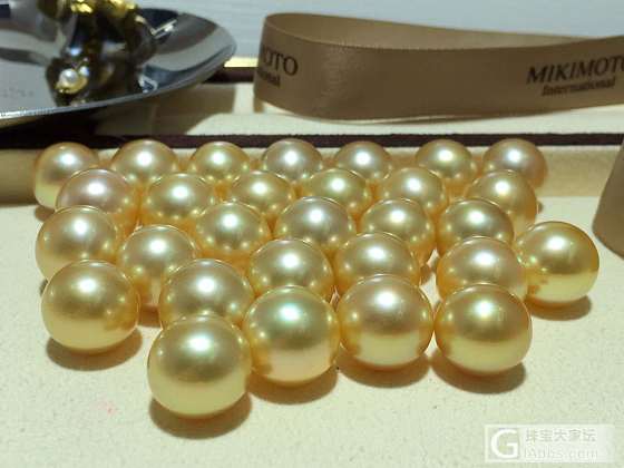 南洋金珠13-14mm 目测正圆 强光滑皮 完美无瑕 1700/颗  适合做吊坠_海水珍珠