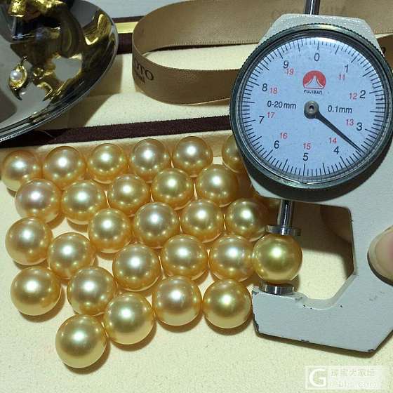 南洋金珠13-14mm 目测正圆 强光滑皮 完美无瑕 1700/颗  适合做吊坠_海水珍珠