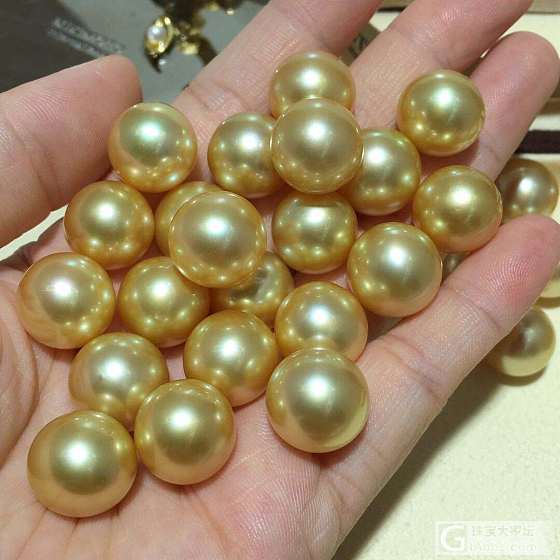 南洋金珠13-14mm 目测正圆 强光滑皮 完美无瑕 1700/颗  适合做吊坠_海水珍珠