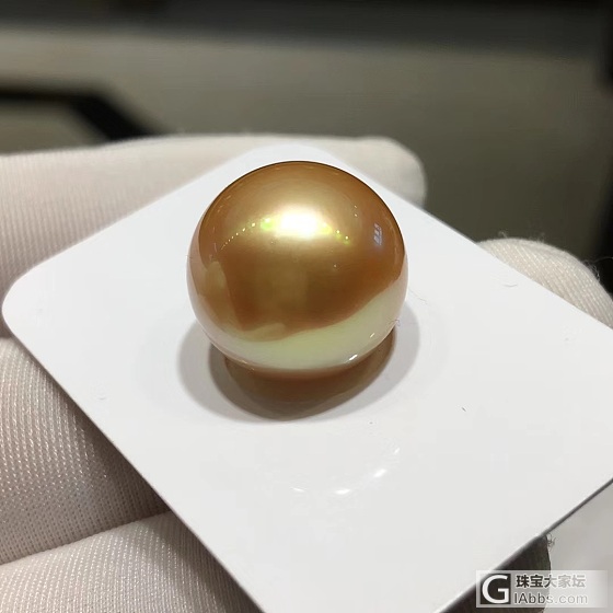14-15mm南洋海水金珠
圆微瑕镜面光泽
秒🉐5999🉐5999
现货仅一颗_海水珍珠