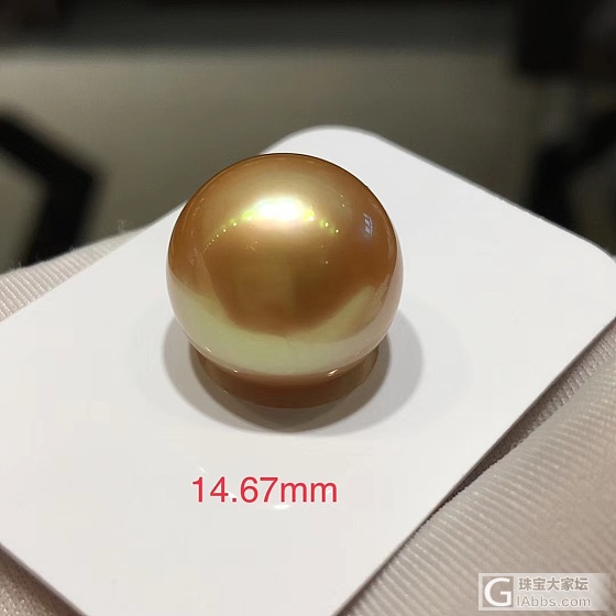 14-15mm南洋海水金珠
圆微瑕镜面光泽
秒🉐5999🉐5999
现货仅一颗_海水珍珠