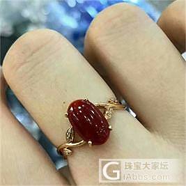 阿卡赤血戒指_戒指珊瑚