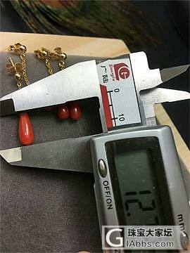 红珊瑚耳坠_耳坠珊瑚