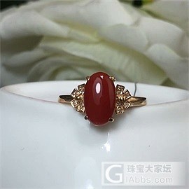 阿卡牛血戒指合集_戒指珊瑚