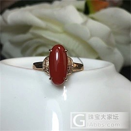阿卡牛血戒指合集_戒指珊瑚