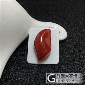 阿卡牛血戒面_蛋面珊瑚