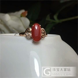 阿卡牛血戒指合集_戒指珊瑚