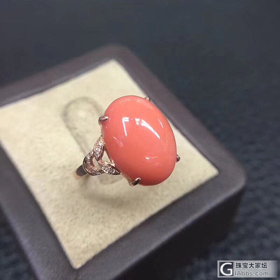 红珊瑚_戒指珊瑚