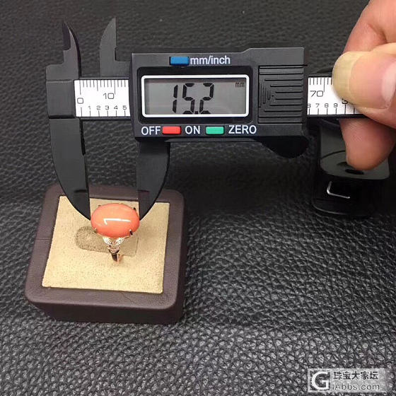 红珊瑚_戒指珊瑚