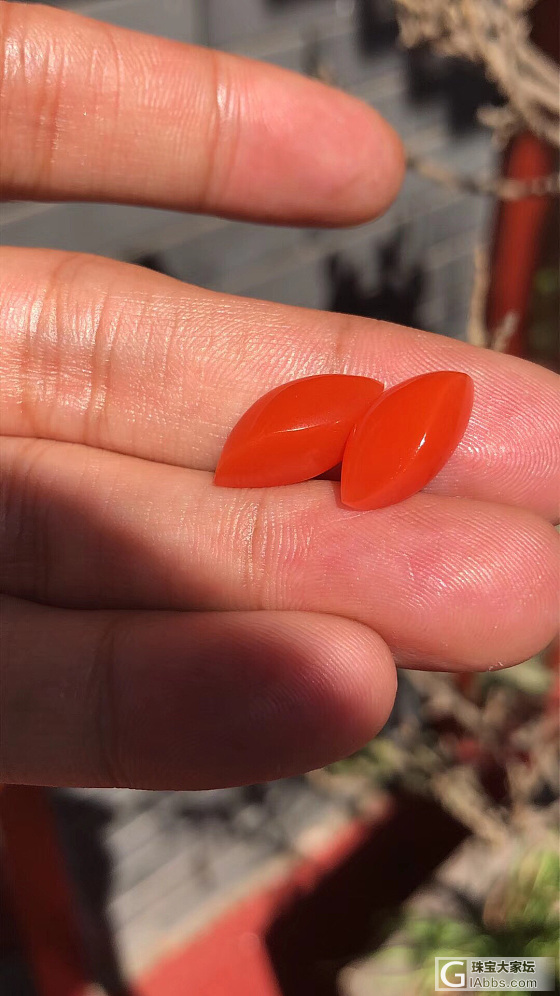 嘻嘻，淘到一对漂亮小宝贝_戒面南红