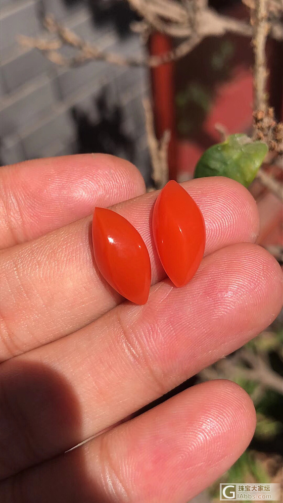 嘻嘻，淘到一对漂亮小宝贝_戒面南红