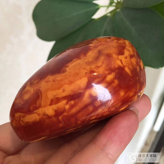 隔壁店昨天上柜的……_蜜蜡