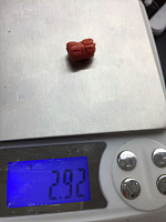 莫莫貔貅_挂件珊瑚