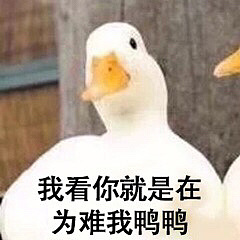 求教泥鳅背戒指，哪家打金的师傅能刻日期，想做对戒用。_戒指金工金