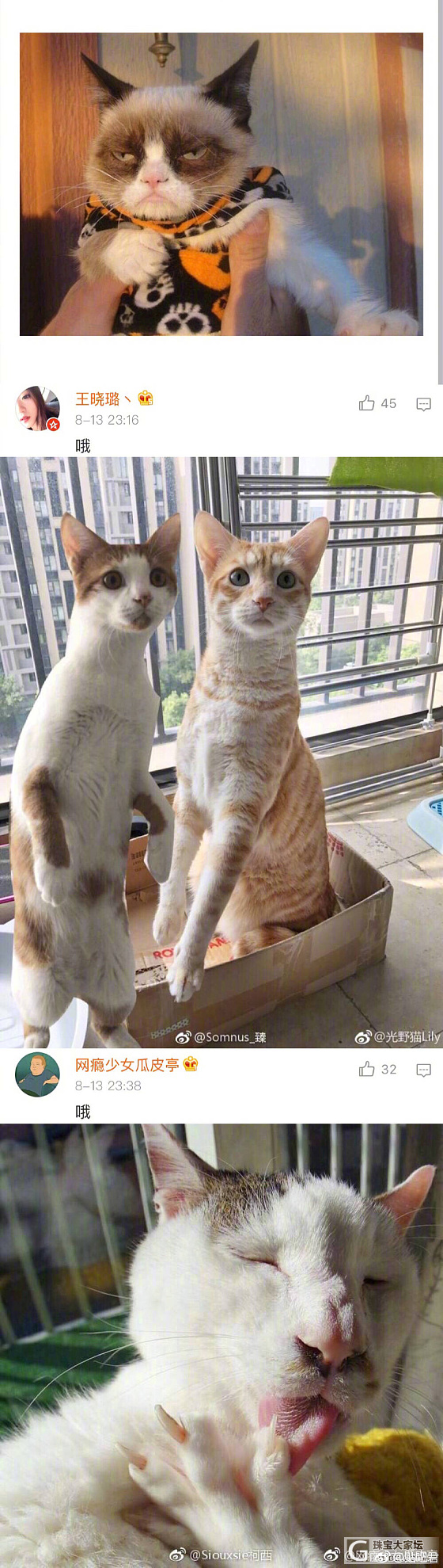 睡啦睡啦，各位晚安。祝，明日心想事成。