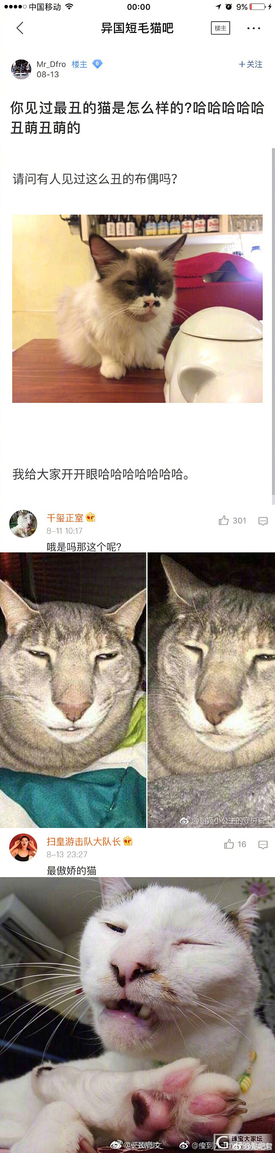 睡啦睡啦，各位晚安。祝，明日心想事成。