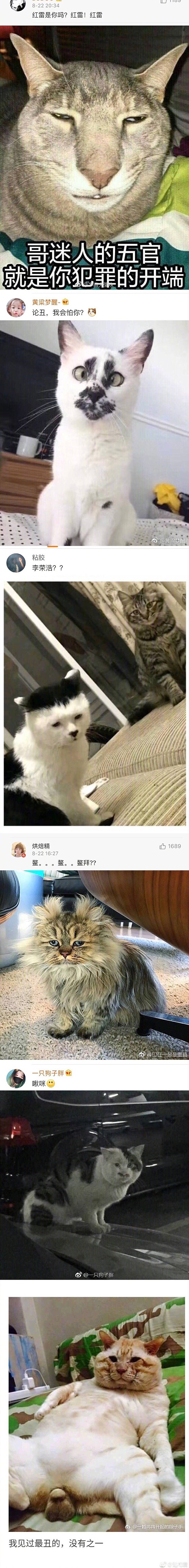 睡啦睡啦，各位晚安。祝，明日心想事成。