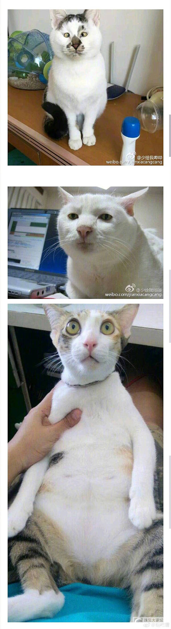睡啦睡啦，各位晚安。祝，明日心想事成。