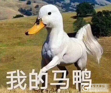有几个板块太刺激了！！