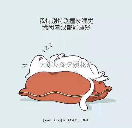 今天下雨啦_茶道