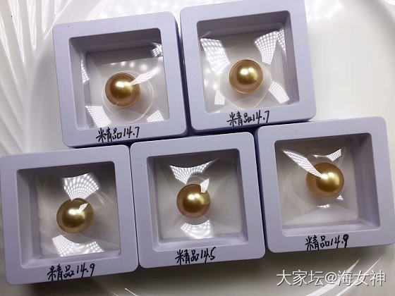 压箱底的极品金珍珠_珍珠