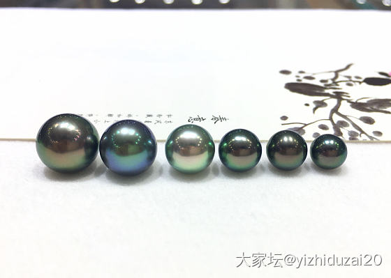 大溪地黑珍珠简单介绍_海水珍珠