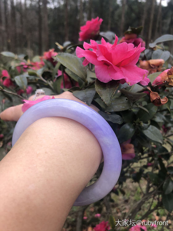 落花流水，天上人间_手镯翡翠