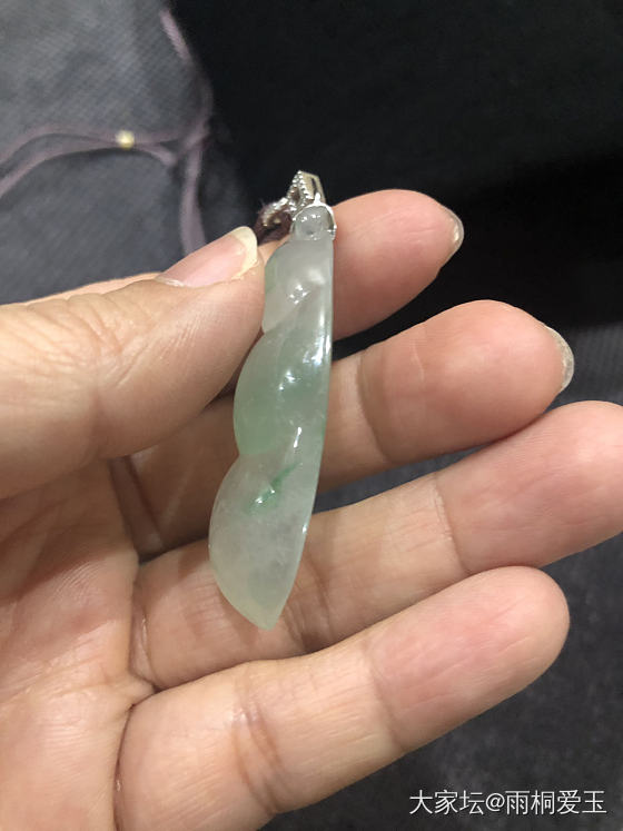 大肥豆😊_翡翠