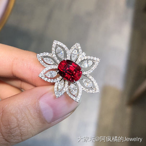 大家好，我，阿疯，移情别恋了_红宝石