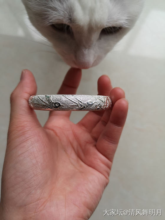 一次性拥有喜鹊登梅来报喜，燕子桃花春分到，夏日荷趣鱼嬉戏，哦嚯嚯(´-ω-`)。_手镯银