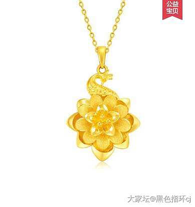 想给老妈入条项链，大家看看哪种合适_颈饰金
