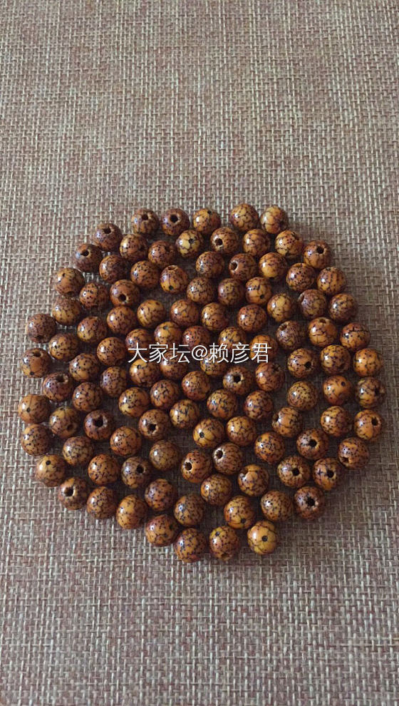 十年星月_菩提子