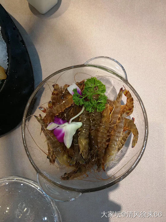居然失眠了，好久没有这样了，难道有什么草没拔吗……我再想想......._和田玉