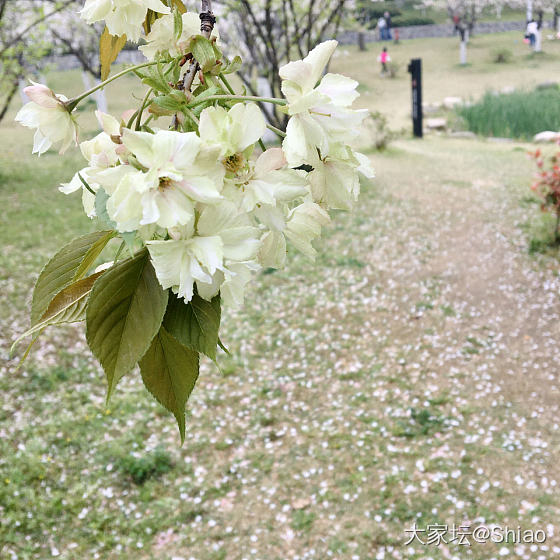 春暖花开&今日份的左右手～_手镯银