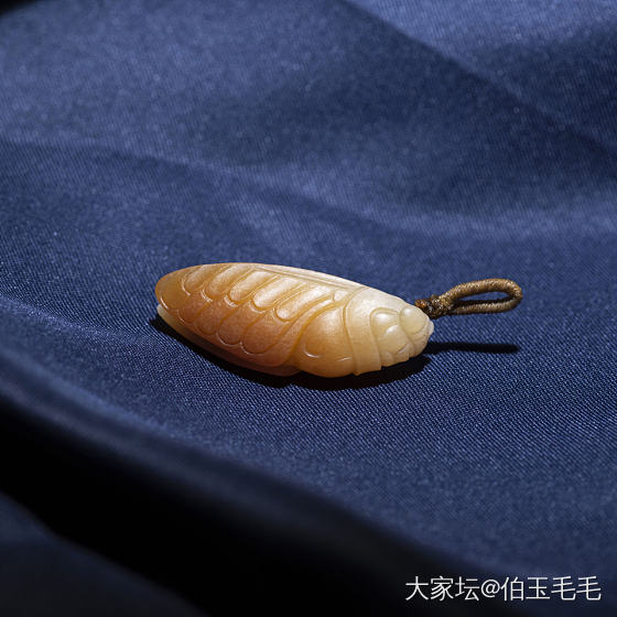 蝉~和田玉籽料黄沁_和田玉