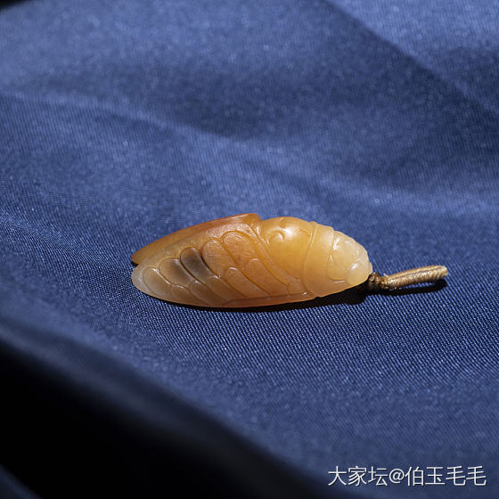 蝉~和田玉籽料黄沁_和田玉