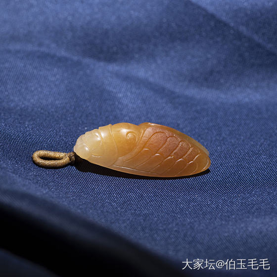 蝉~和田玉籽料黄沁_和田玉