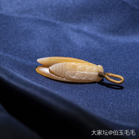 蝉~和田玉籽料黄沁_和田玉