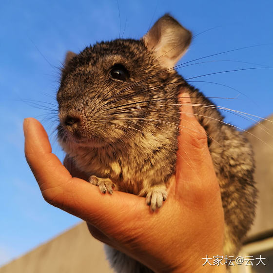 夕阳西下