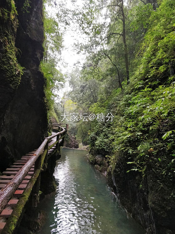 疫情前去成都的一次旅行(●°u°●)​ 

出发＋青城山后山篇

       ...