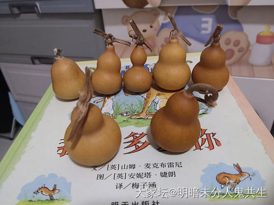 各就各位_葫芦